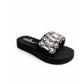 Silver Crystal Statement Slides